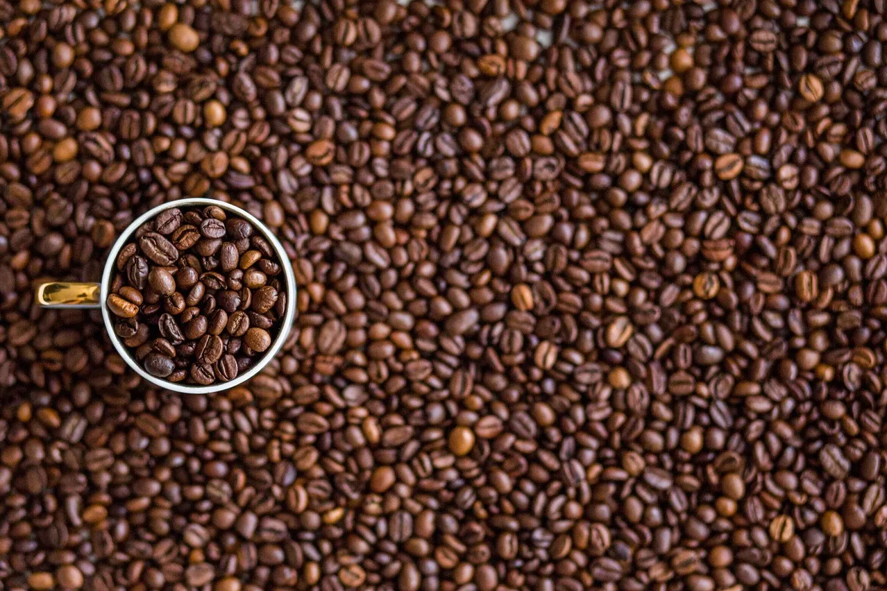 Coffee, coffee beans, cup