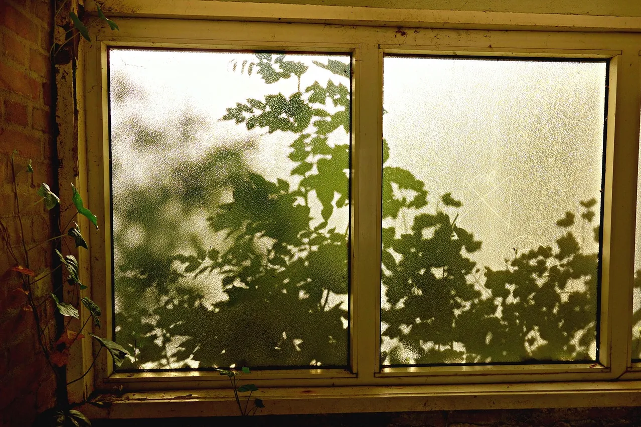 Window, glass, pane