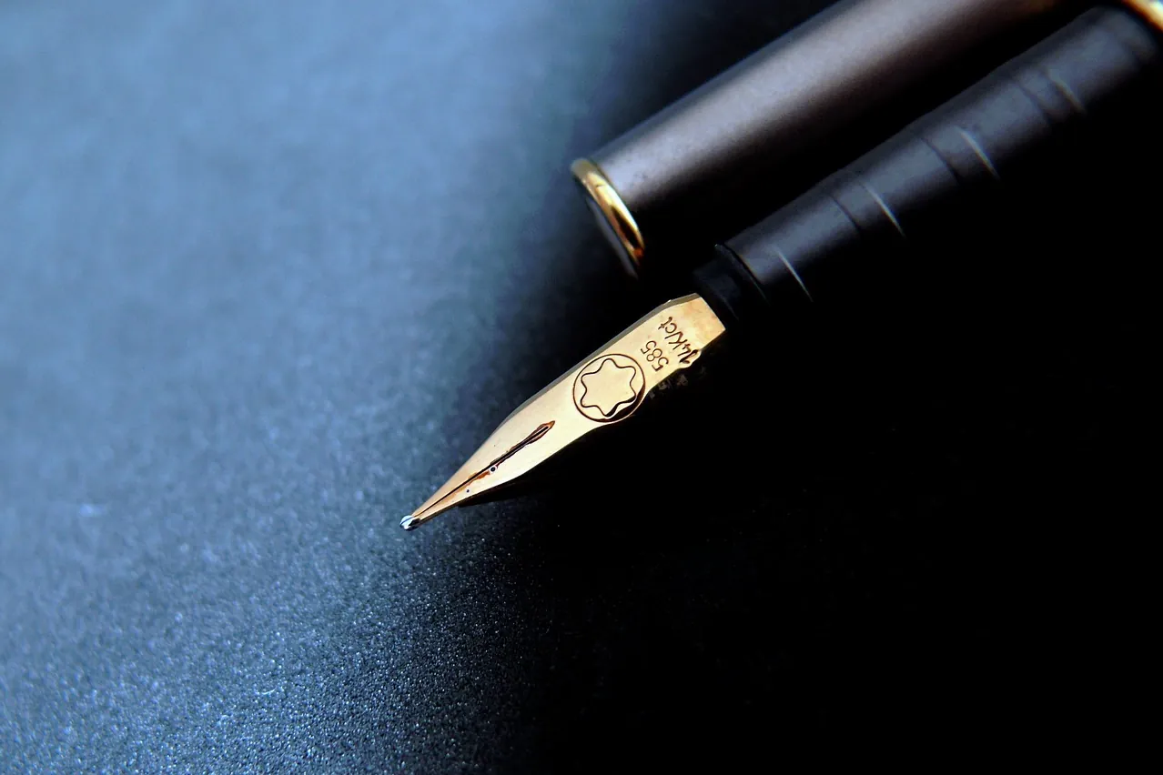 Ink pen, fountain pen, writing implement