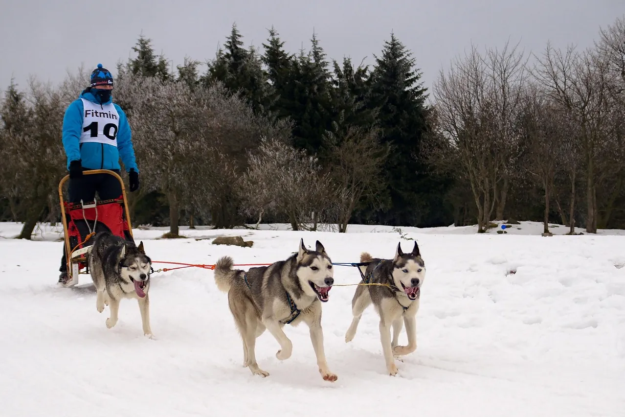 Snow, racing, team
