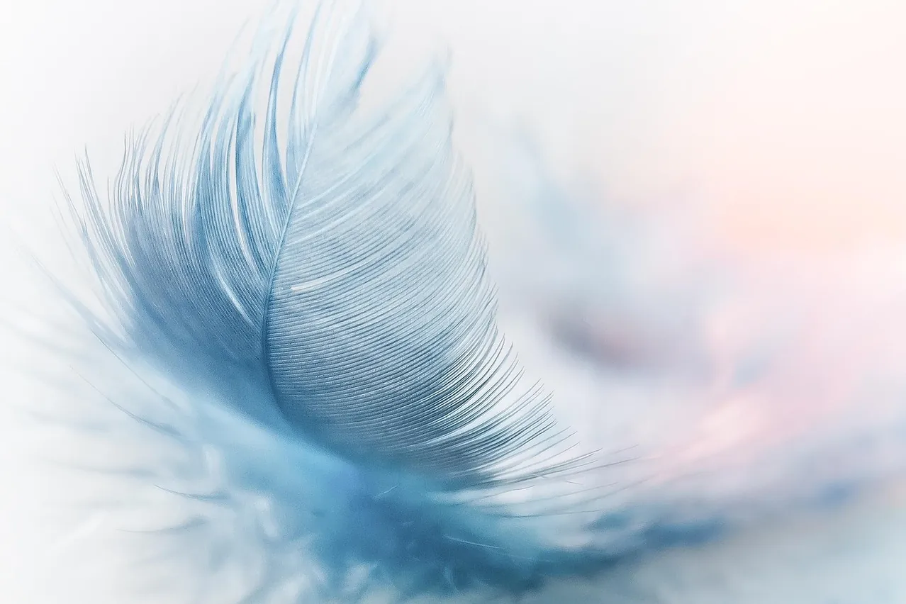 Feather, hd wallpaper, ease