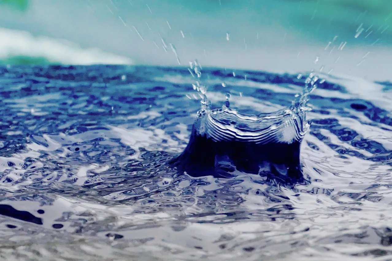 Rain barrel, water, drops