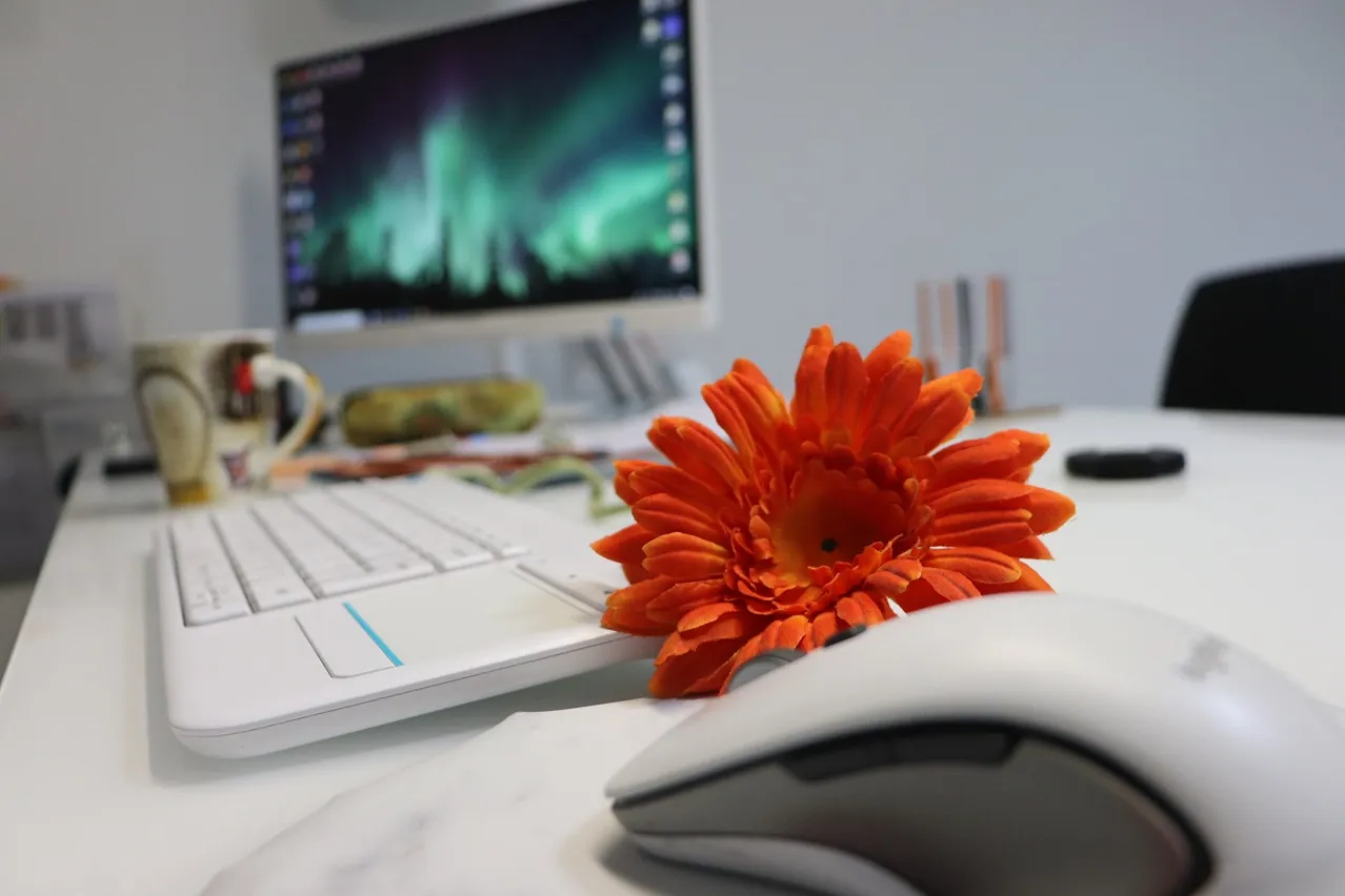 Workspace, home office, office desk