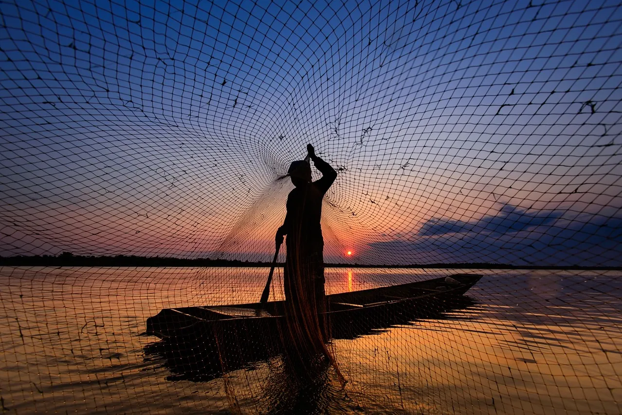Man, fishing net, lake