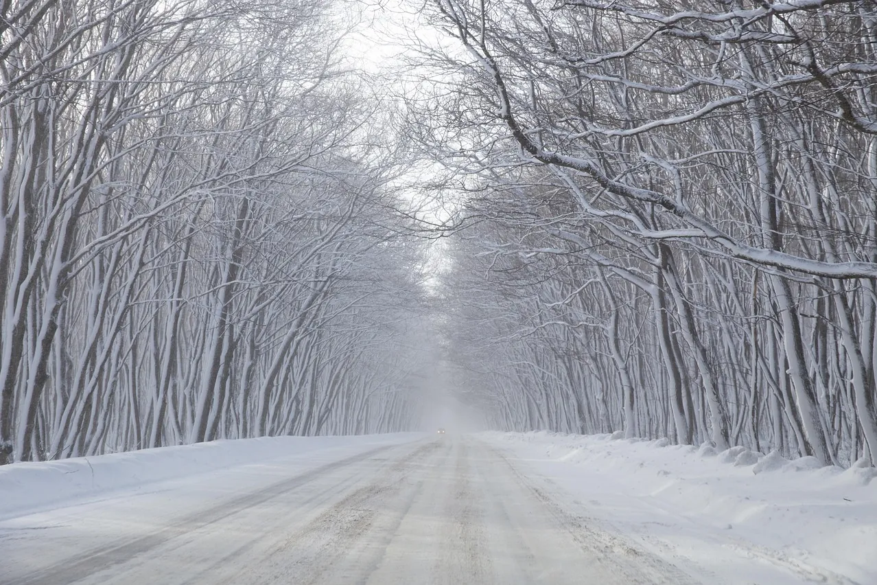 Lane, highway, frozen