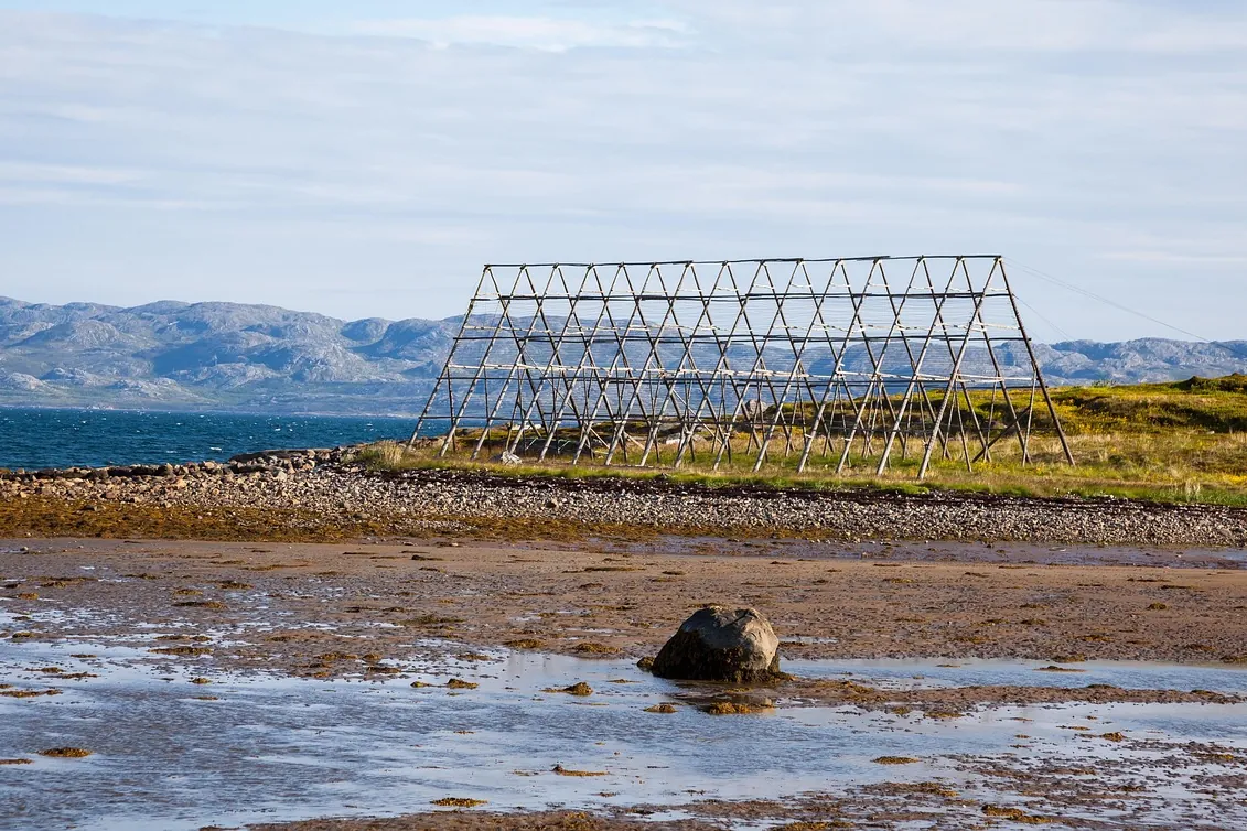 Drying rack, nature, fish drying